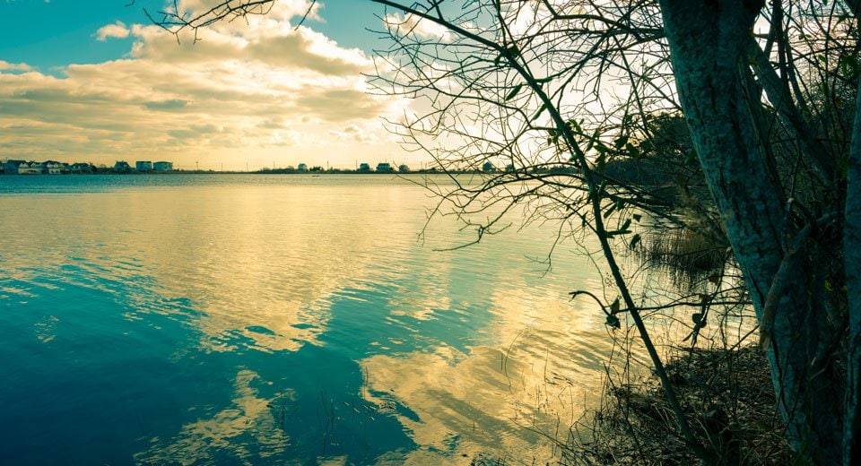 Healthier Ponds