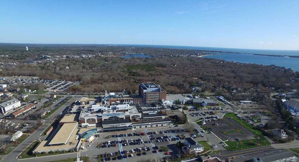 Bayview Cranberry Bog Restoration at Cape Cod Hospital